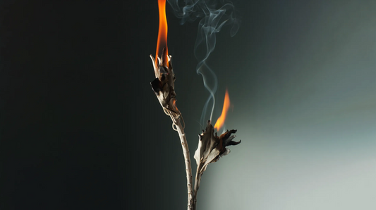 Allure's Top Fragrance Trends Welcome the Witching Season