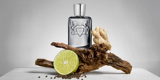 INSIDE HOOK - The Best New Colognes of the Year (So Far)