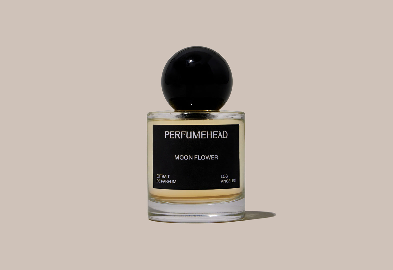 50ml