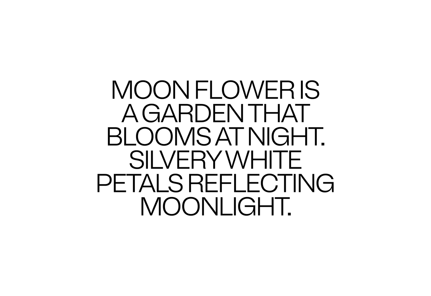 Moon Flower is a garden that blooms at night. Silvery white petals reflecting moonlight. 