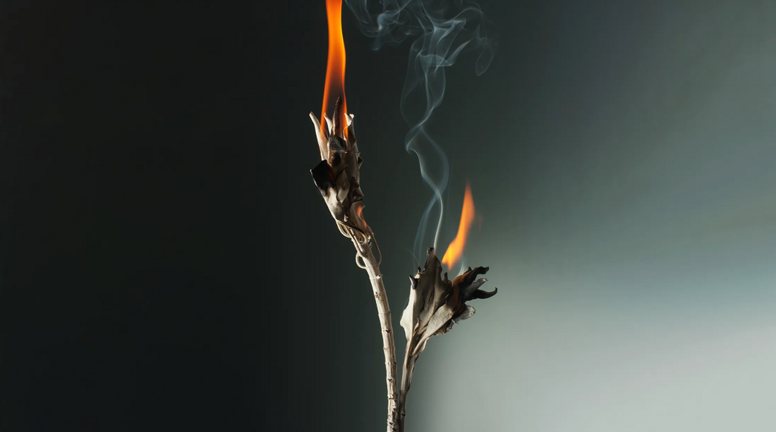 Allure's Top Fragrance Trends Welcome the Witching Season