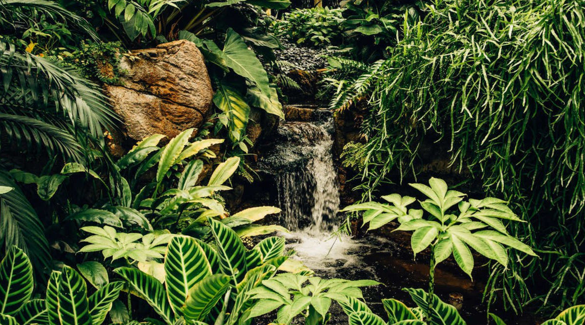 Fathom: 10 Perfumes To Inspire Your Next Vacation