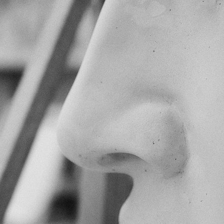 Close-up black and white photograph of a sculptural human nose and part of the cheek, with soft blurred background elements.