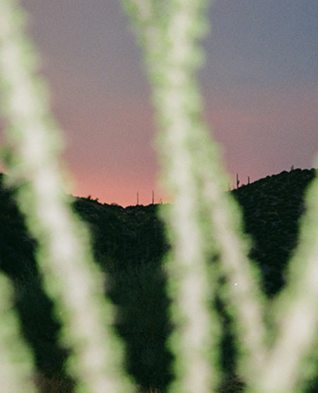 A scenic photograph of a desert landscape at dusk, featuring a dark silhouetted hillside with saguaro cacti in the foreground and a pink and purple sunset sky in the background.