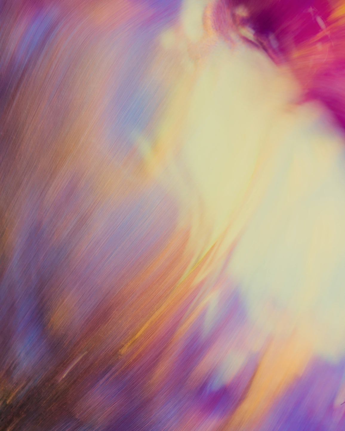 An abstract art print featuring a colorful swirl of purple, pink, orange, and yellow brushstrokes.