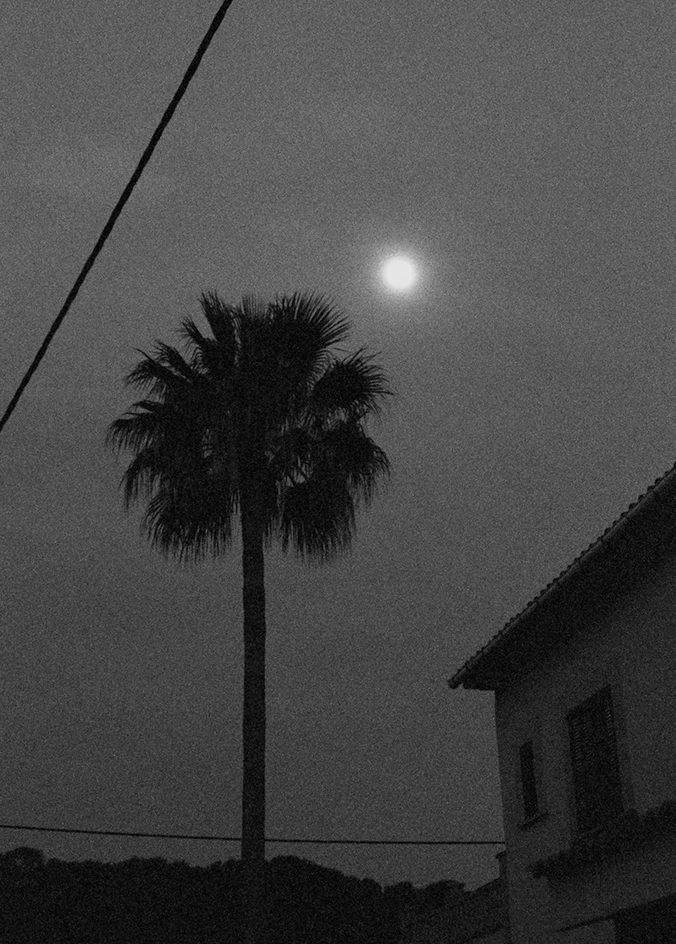 Black and white photograph of a tall palm tree silhouetted against a cloudy night sky with a bright full moon, plus part of a house and overhead wires.