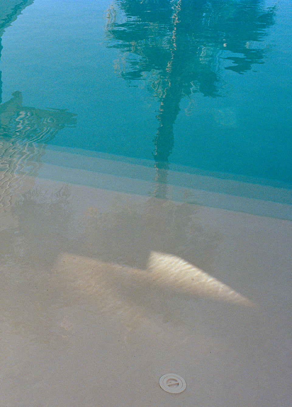 A close-up view of clear turquoise pool water reflecting a palm tree and sunlight onto a light beige pool deck.